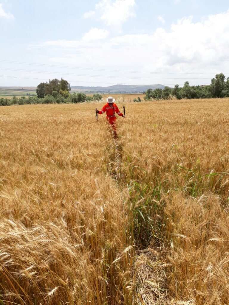 BTC Hattında Korozyonla Mücadelede Başarı: DCVG Survey Çalışması Tamamlandı