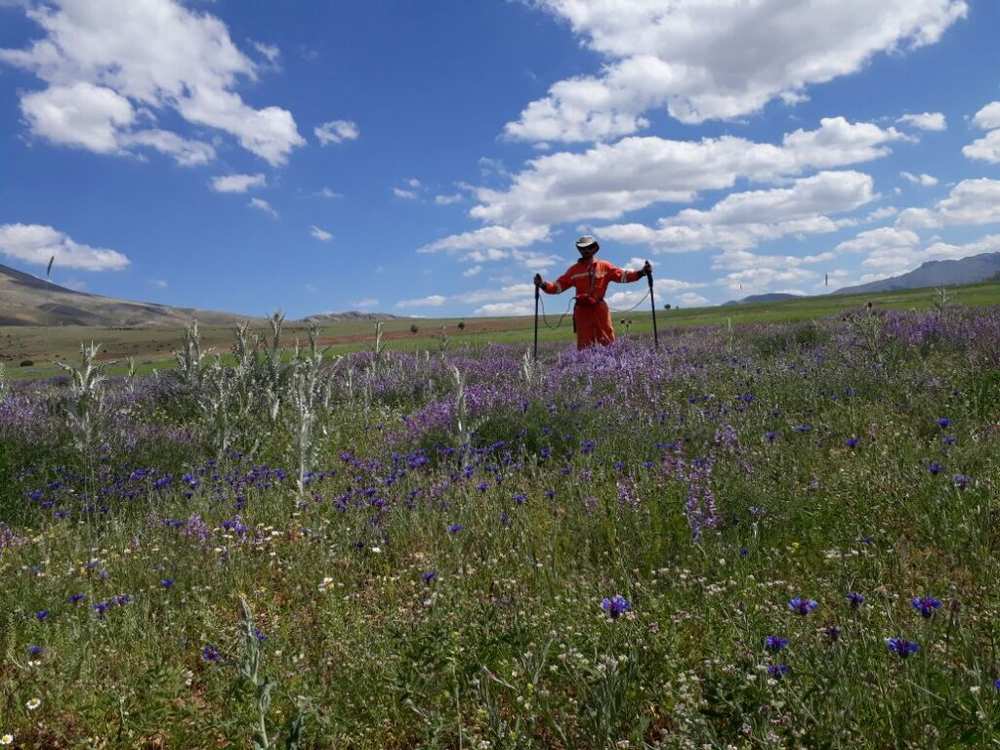 BTC Hattında Korozyonla Mücadelede Başarı: DCVG Survey Çalışması Tamamlandı