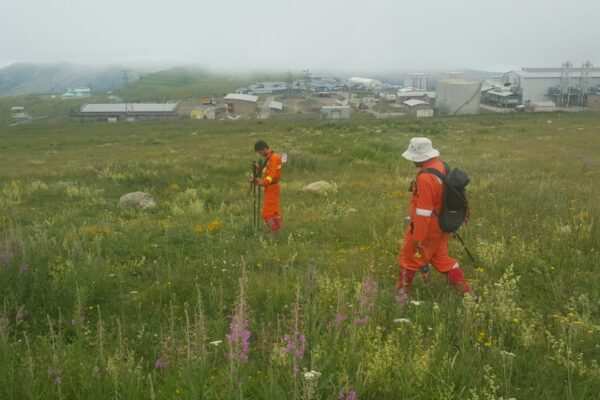 BTC Hattında Korozyonla Mücadelede Başarı: DCVG Survey Çalışması Tamamlandı